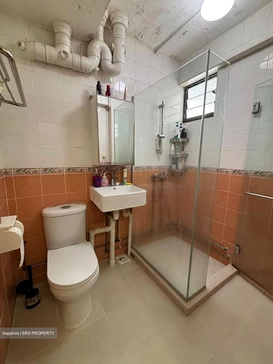 Blk 27 Dover Gardens (Queenstown), HDB 5 Rooms #538123871
